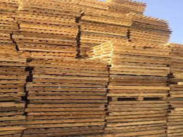 فروش مستقیم پالت چوبی روسی