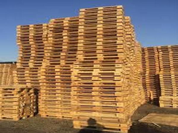 عرضه کننده پالت چوبی باکیفیت