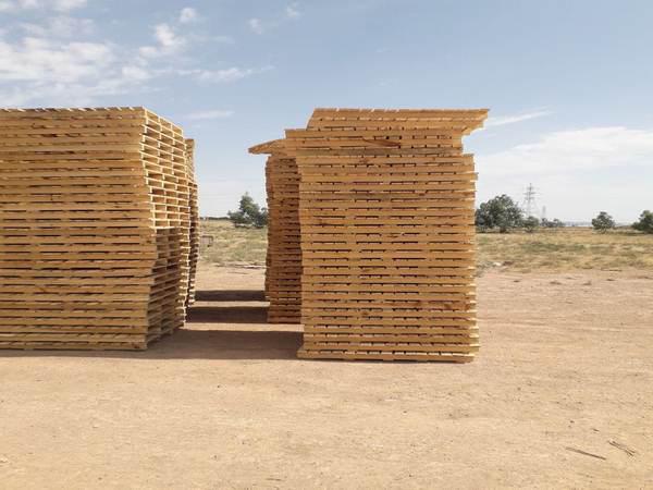 مراکز پخش انواع پالت چوبی