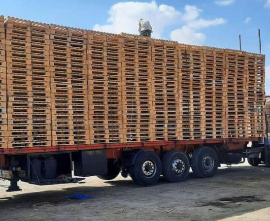 توزیع کننده پالت چوبی قم