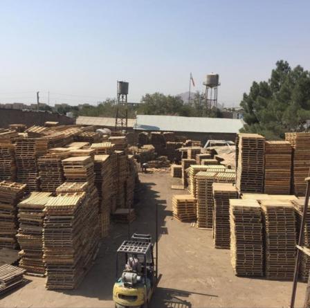 توزیع کننده پالت چوبی شمال